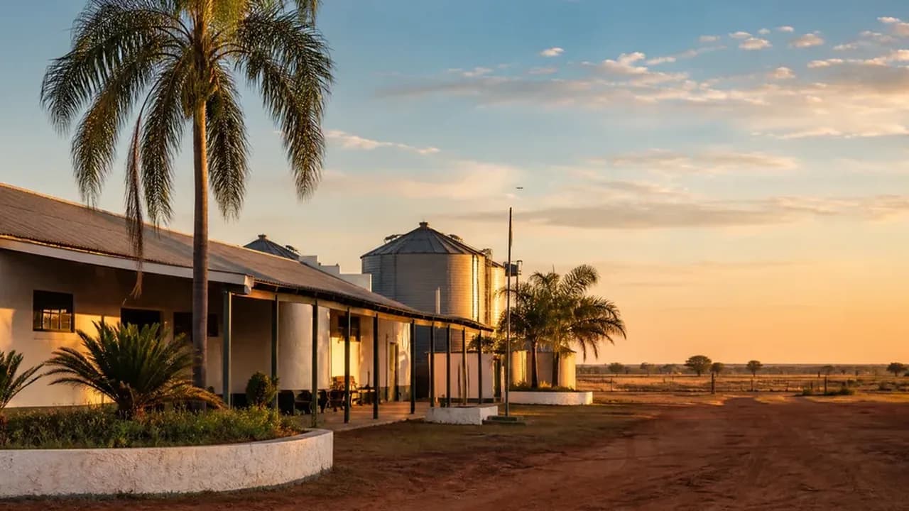 Bâtiments d'une coopérative et palmiers dans une colonie mennonite du Chaco paraguayen, sous un ciel immense