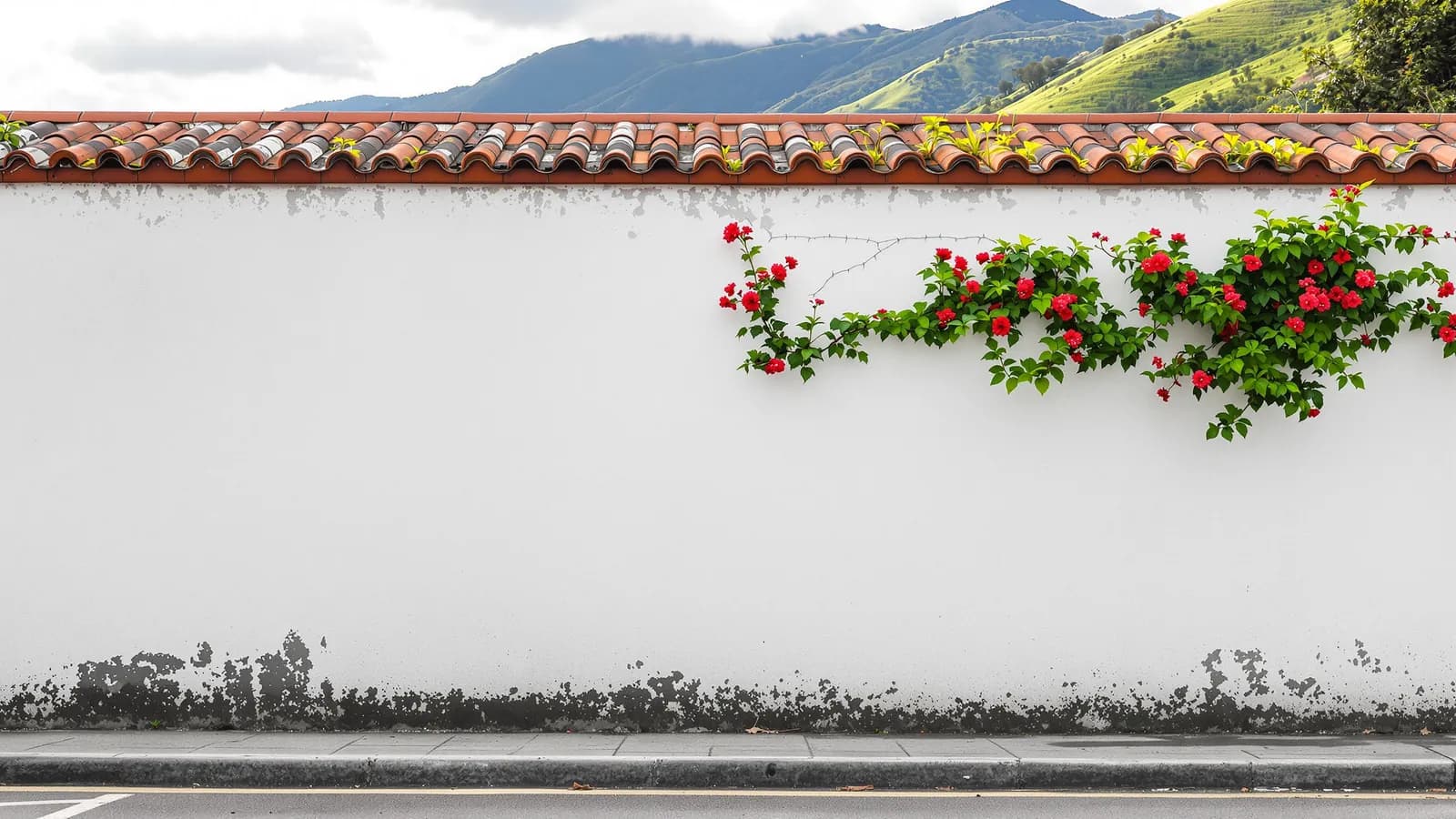 Leistungen für Ecuador