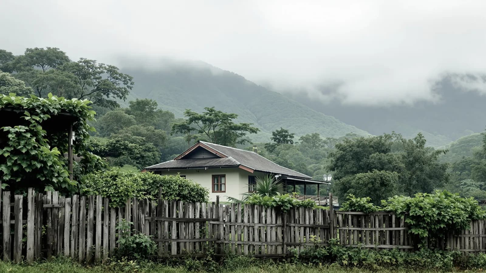Leistungen für Panama