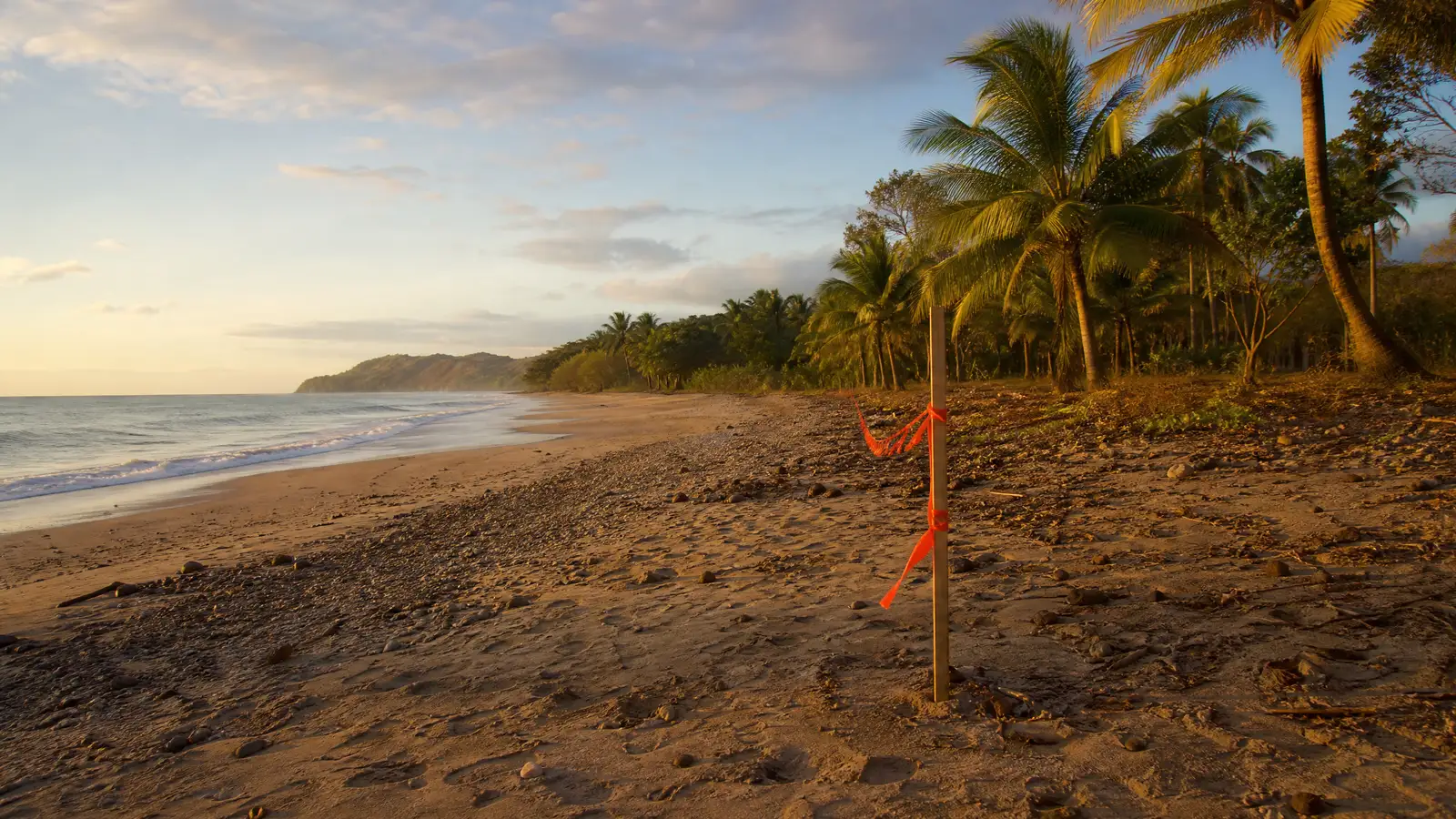 Immobilien in Panama kaufen 2026: Guide fuer Auslaender